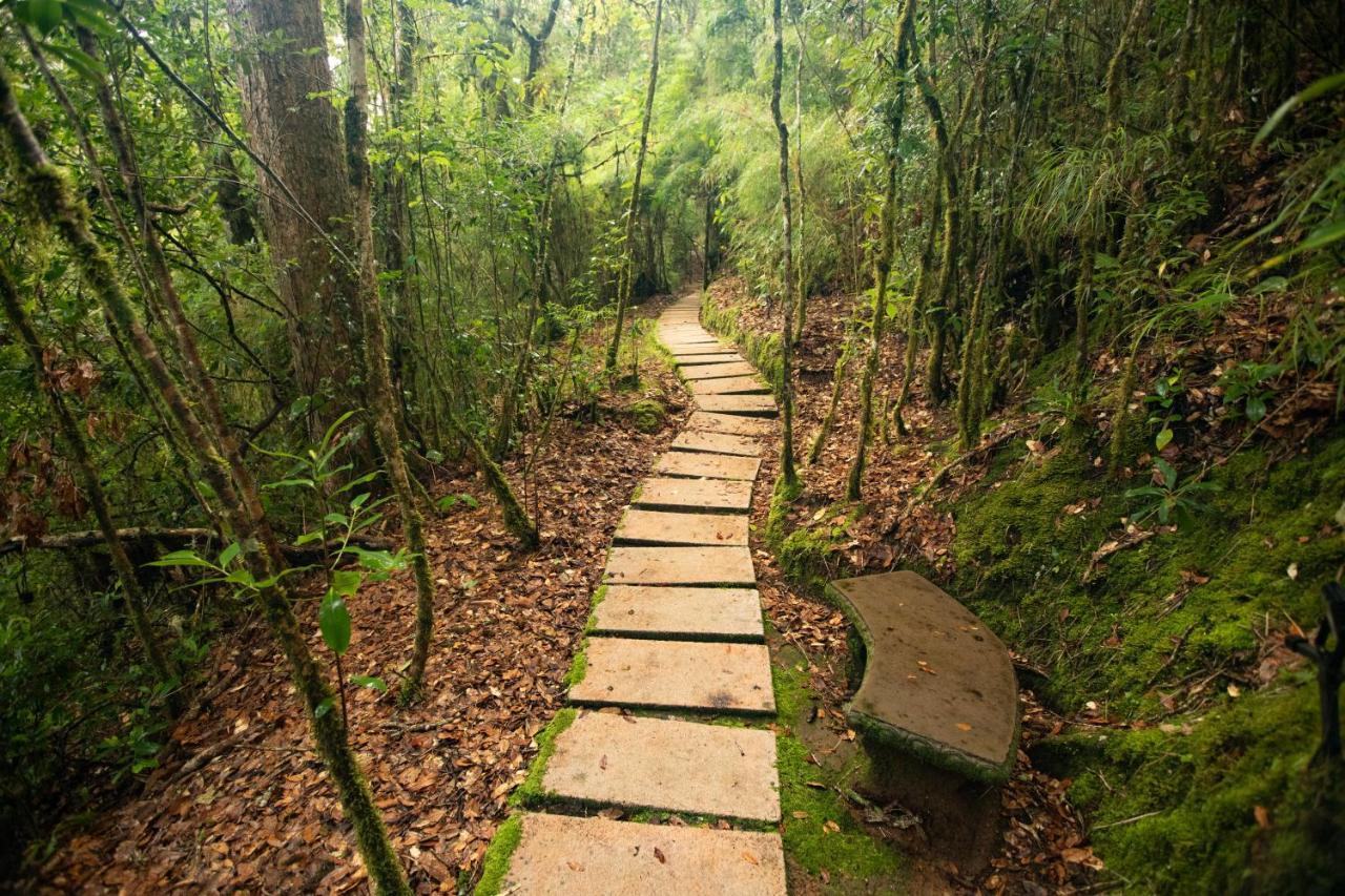 Dantica Cloud Forest Lodge San Gerardo de Dota Kültér fotó