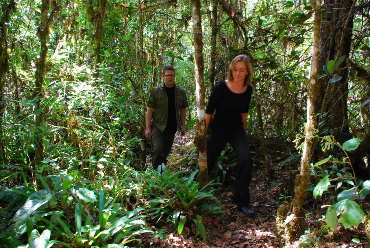 Dantica Cloud Forest Lodge San Gerardo de Dota Kültér fotó