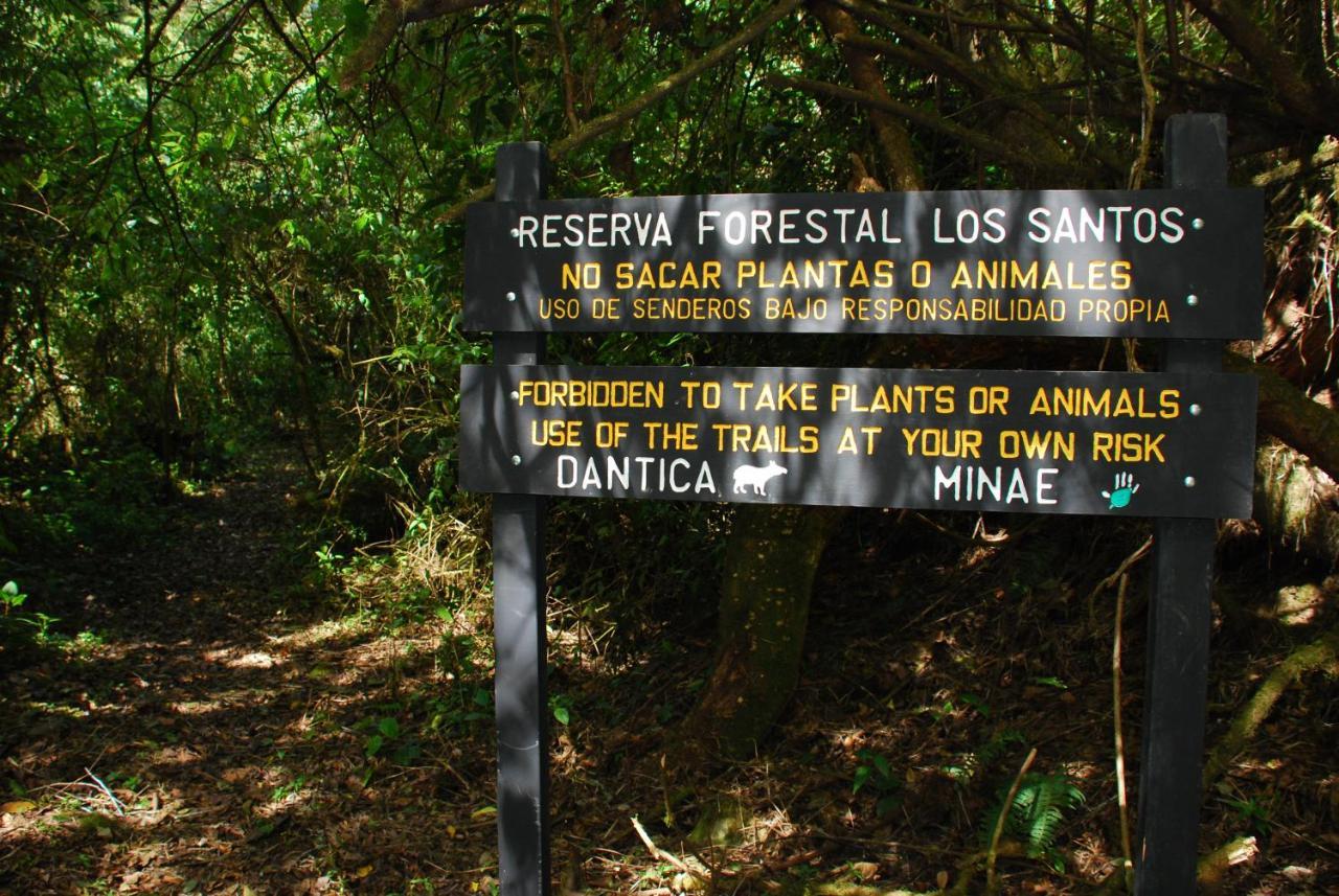 Dantica Cloud Forest Lodge San Gerardo de Dota Kültér fotó