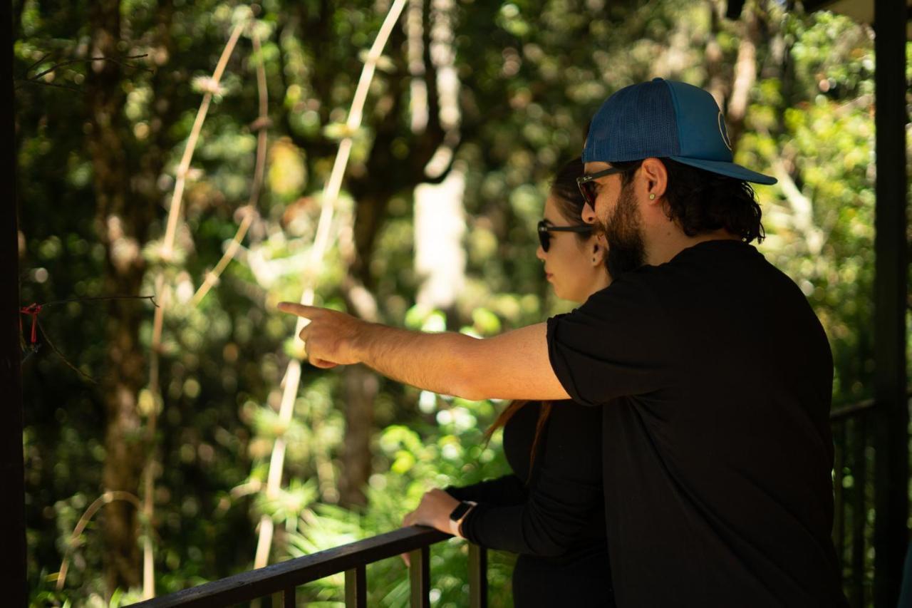 Dantica Cloud Forest Lodge San Gerardo de Dota Kültér fotó