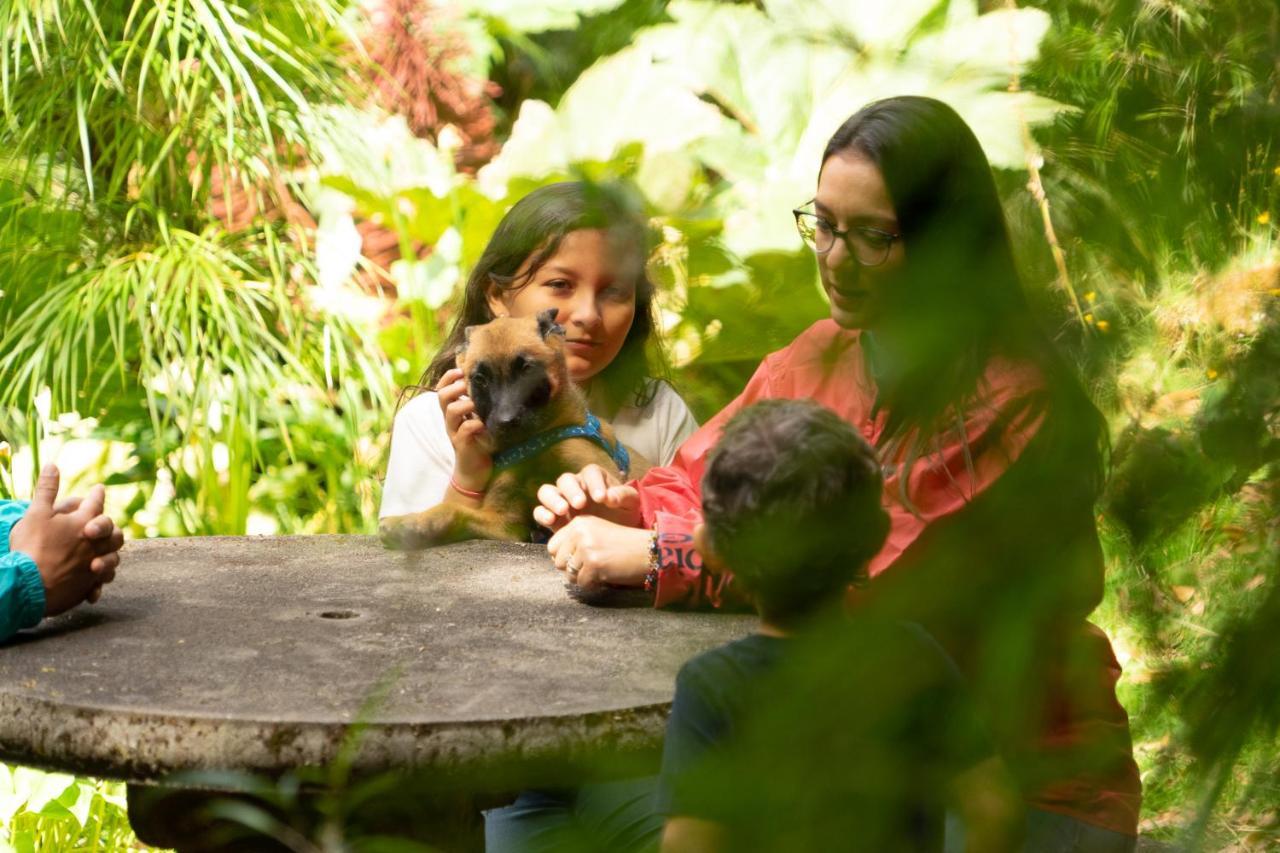 Dantica Cloud Forest Lodge San Gerardo de Dota Kültér fotó