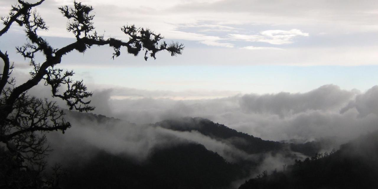 Dantica Cloud Forest Lodge San Gerardo de Dota Kültér fotó