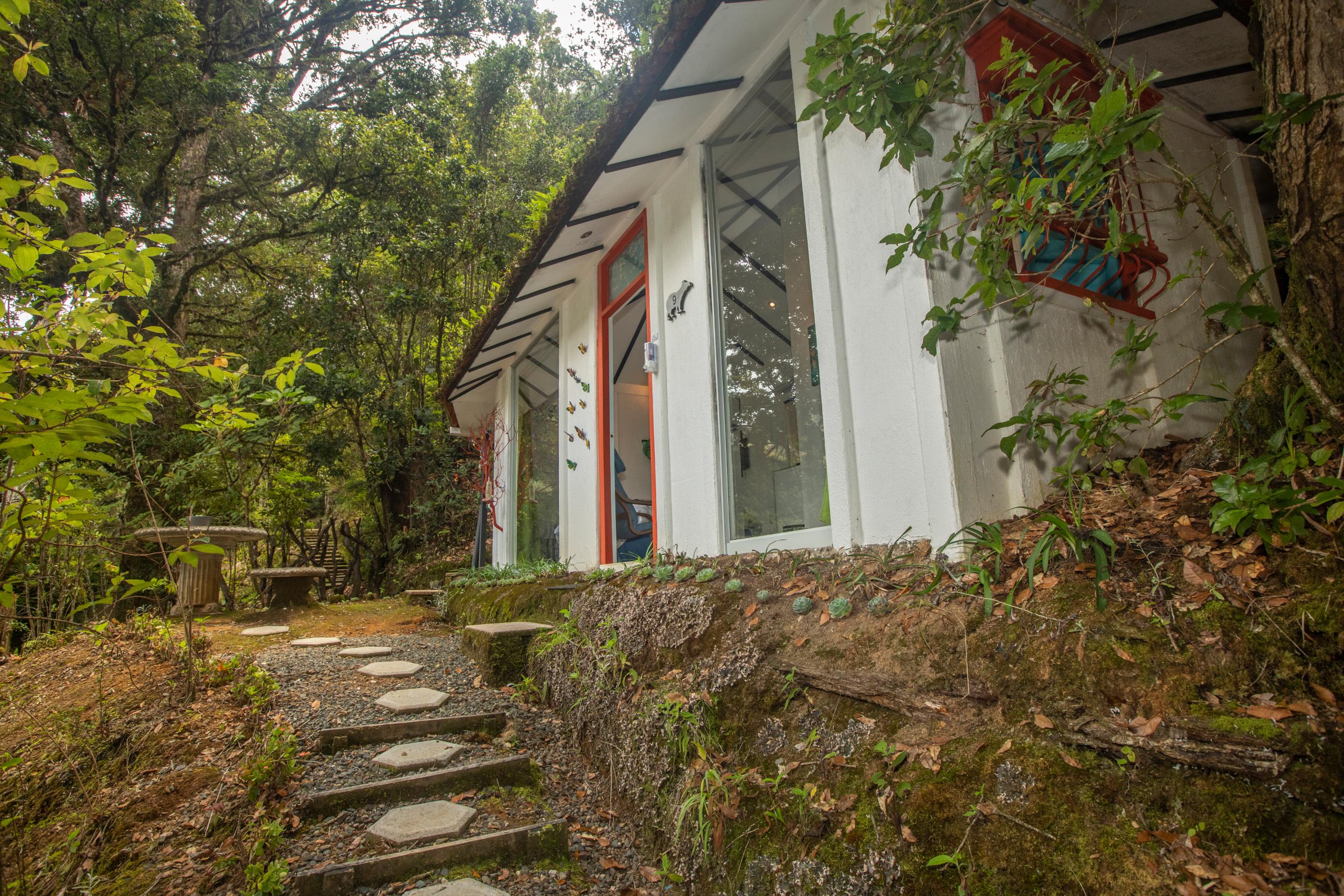 Dantica Cloud Forest Lodge San Gerardo de Dota Kültér fotó