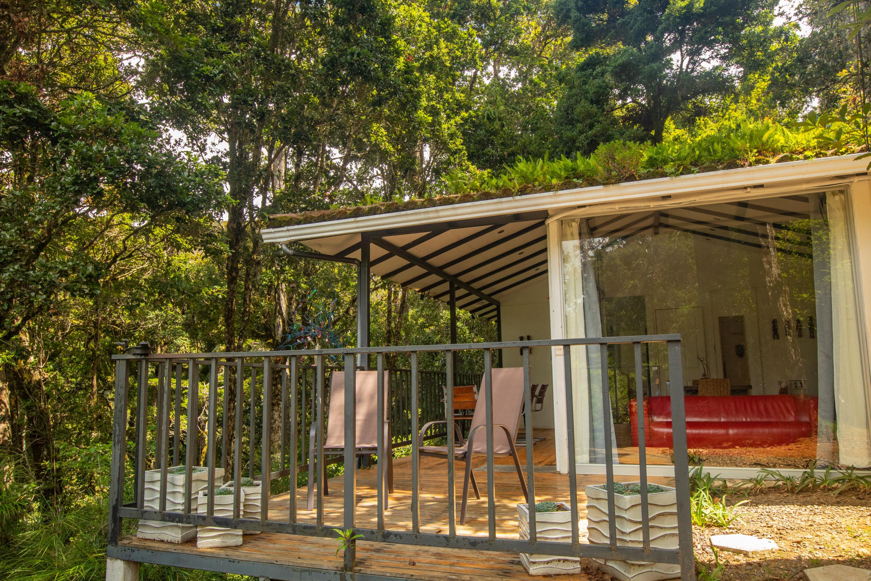 Dantica Cloud Forest Lodge San Gerardo de Dota Kültér fotó