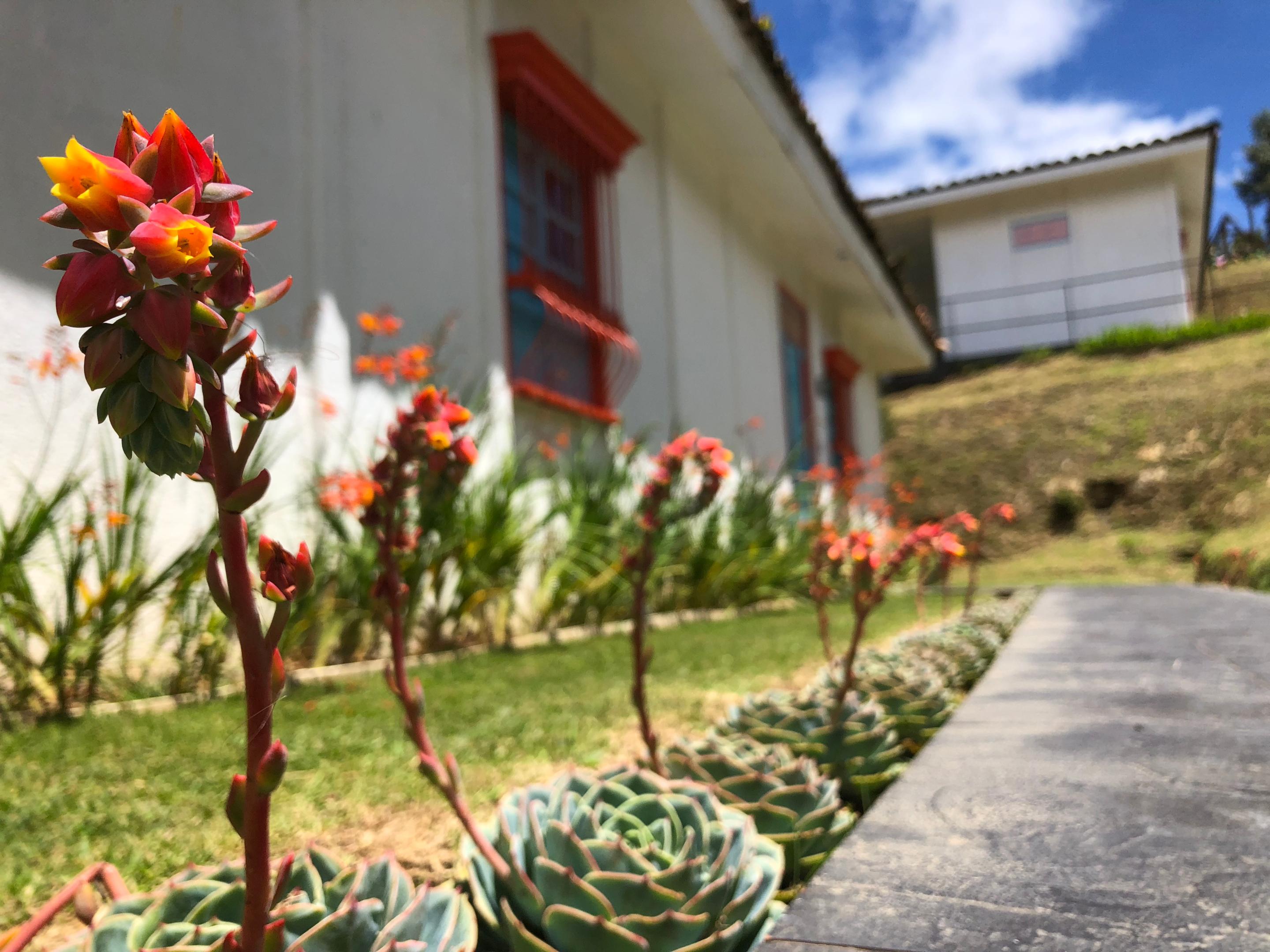 Dantica Cloud Forest Lodge San Gerardo de Dota Kültér fotó