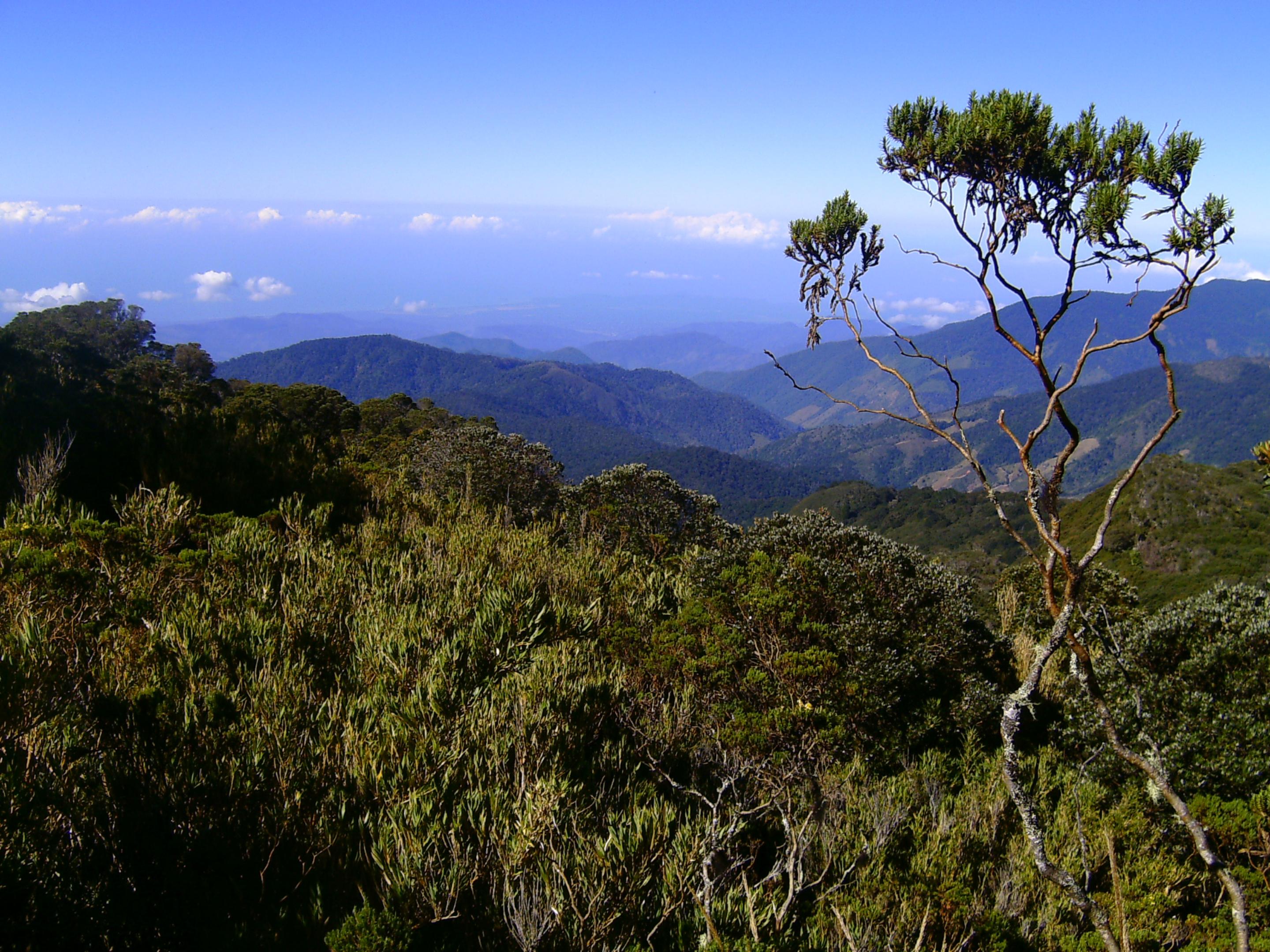 Dantica Cloud Forest Lodge San Gerardo de Dota Kültér fotó