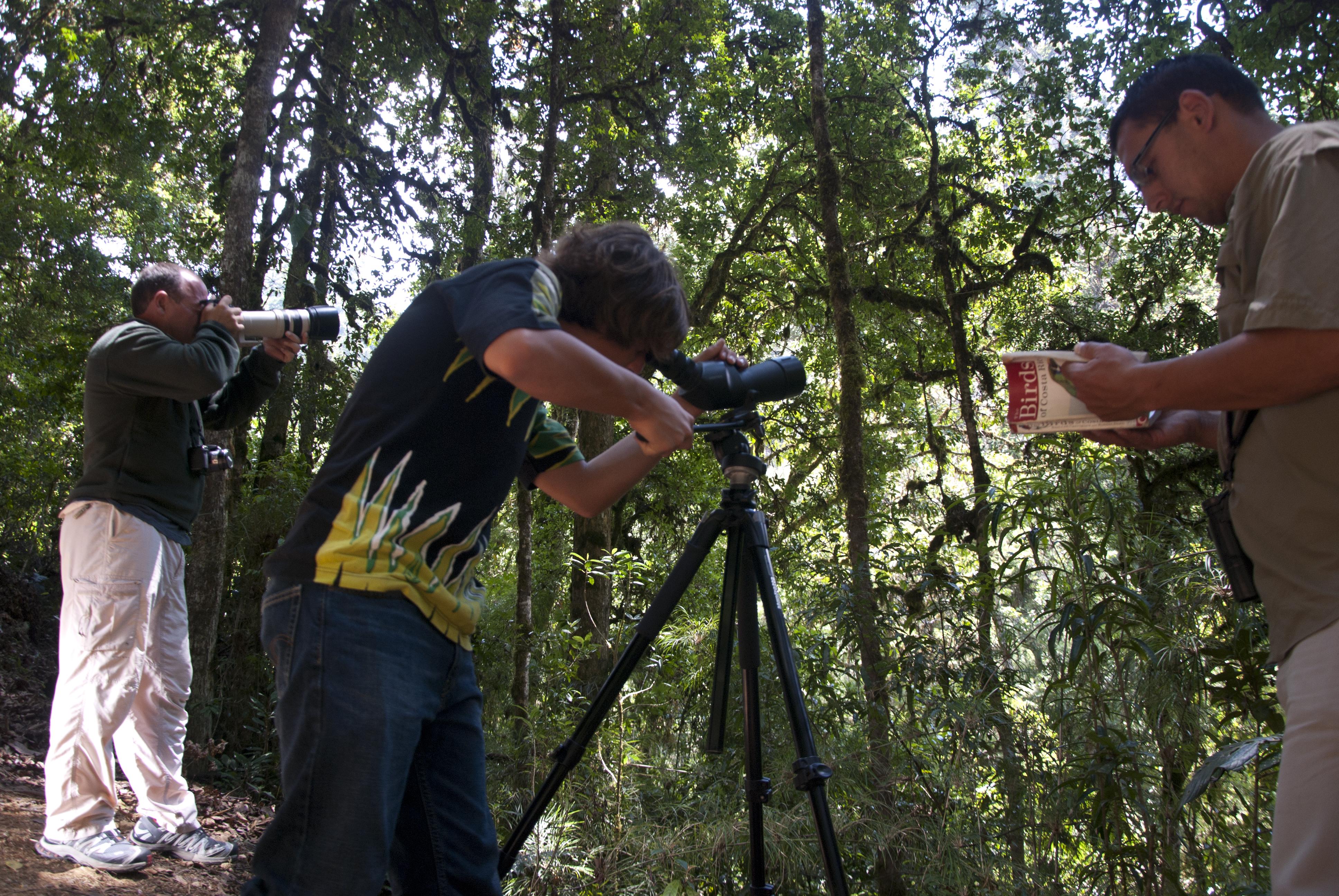Dantica Cloud Forest Lodge San Gerardo de Dota Kültér fotó