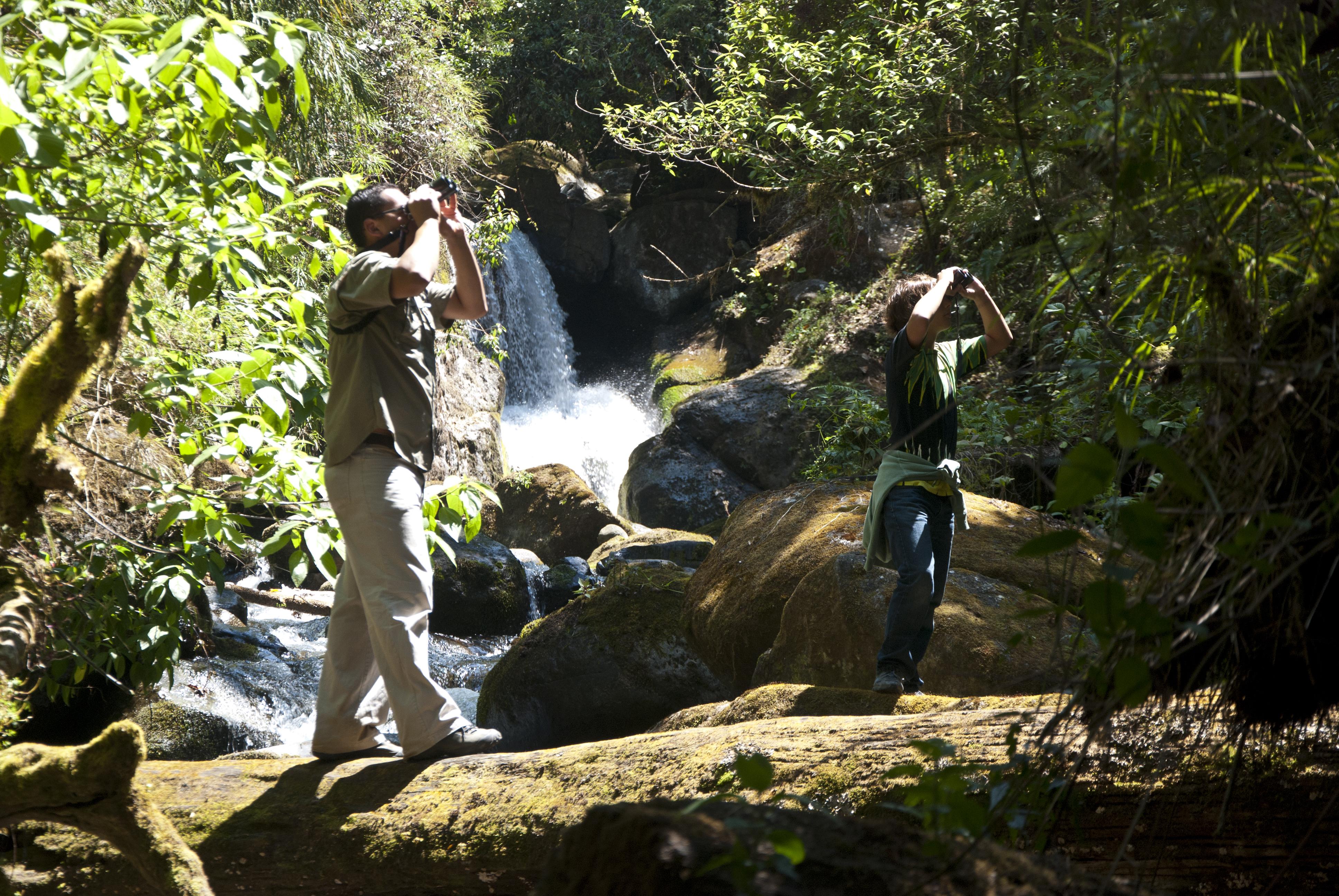 Dantica Cloud Forest Lodge San Gerardo de Dota Kültér fotó