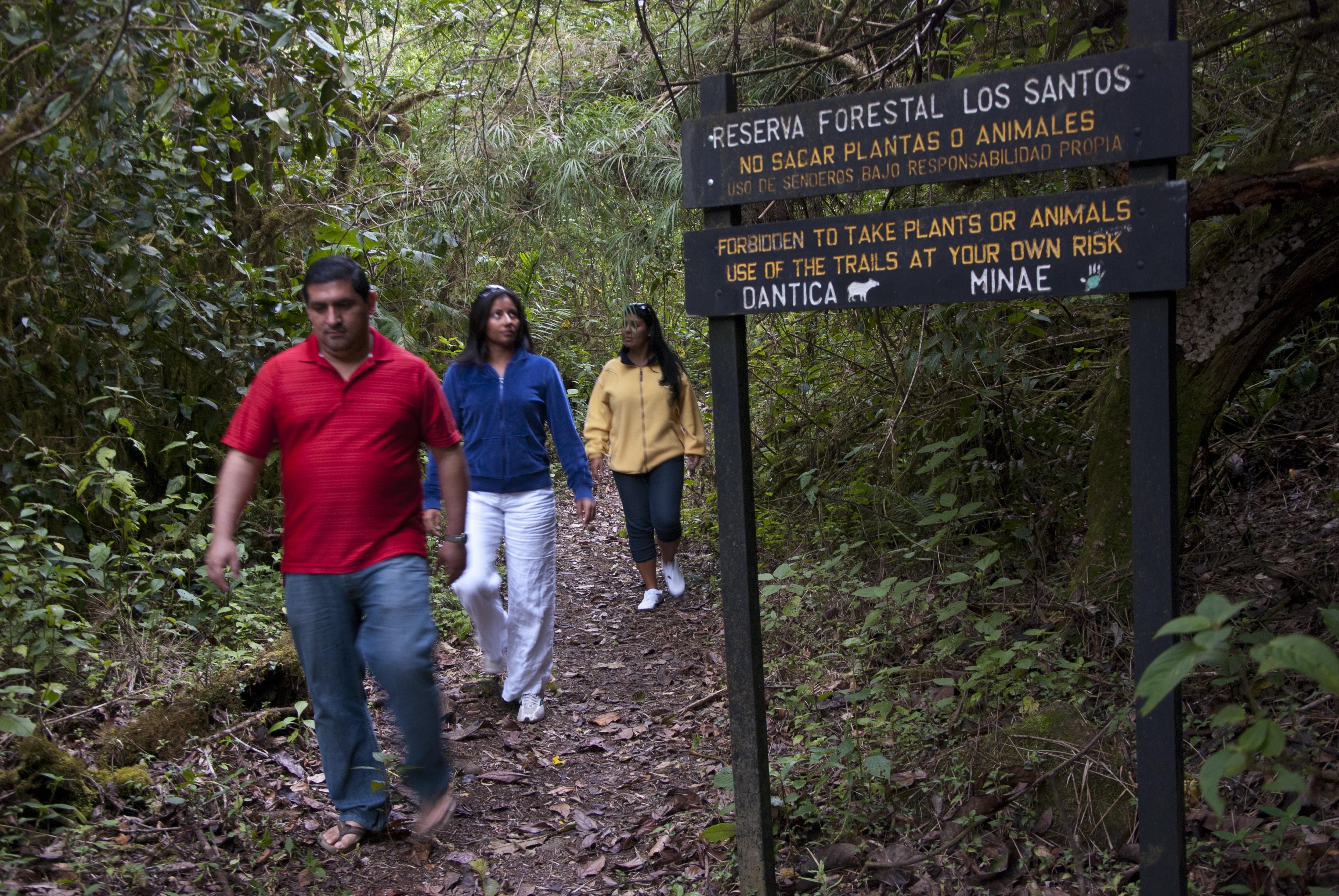 Dantica Cloud Forest Lodge San Gerardo de Dota Kültér fotó