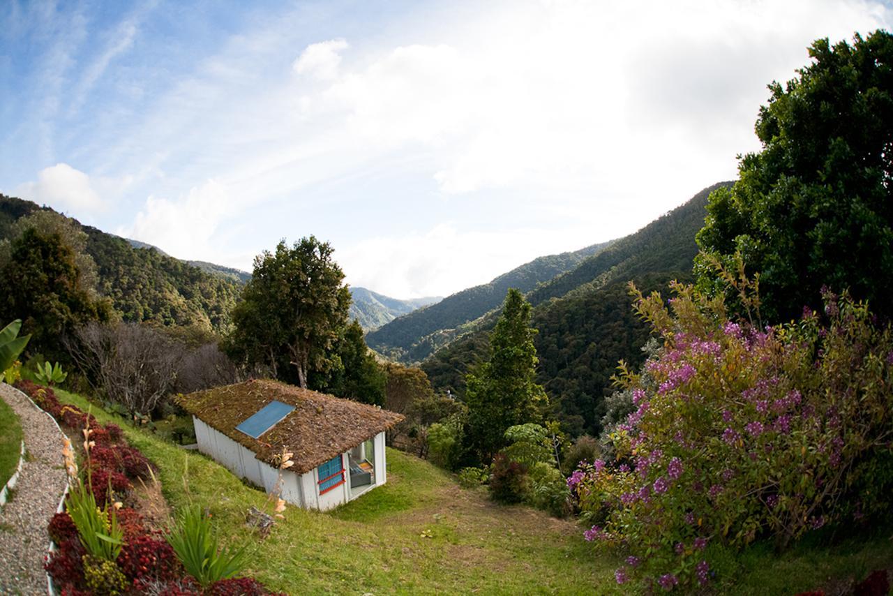 Dantica Cloud Forest Lodge San Gerardo de Dota Kültér fotó